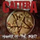 Jawaban Cinta - Catter Chord Gitar