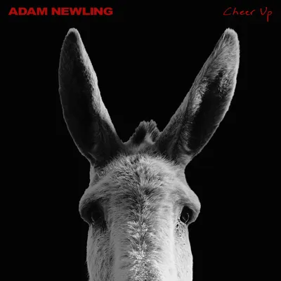 Adam Newling