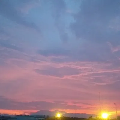 Alfin Habib