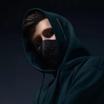 Alok Alan Walker
