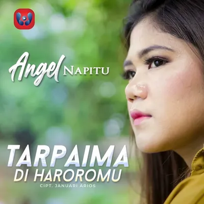 Angel Napitu