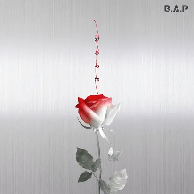 B.A.P