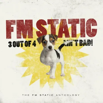 Fm Static