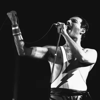 Freddie Mercury