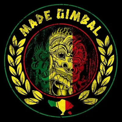 Made Gimbal