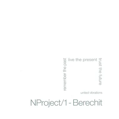 N Project