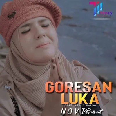 Novi Barat