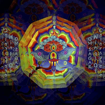 OM Sagita
