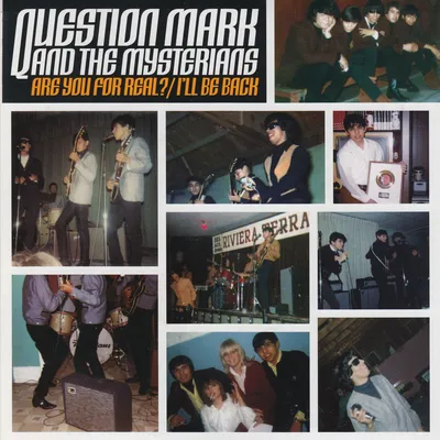 Question Mark And The Mysterians