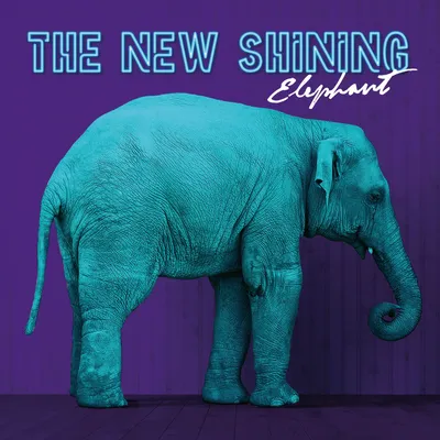 The New Shining