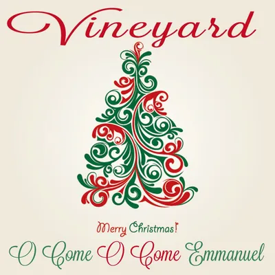 Vineyard